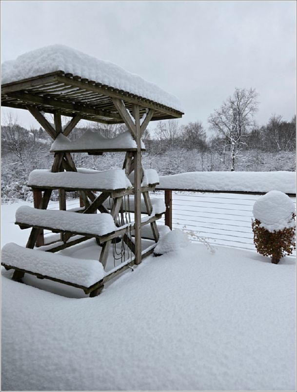 The lake-effect snow on my deck just before Thanksgiving. (That�s my empty orchid house; in case you�re wondering). Photo: Letty Klein.